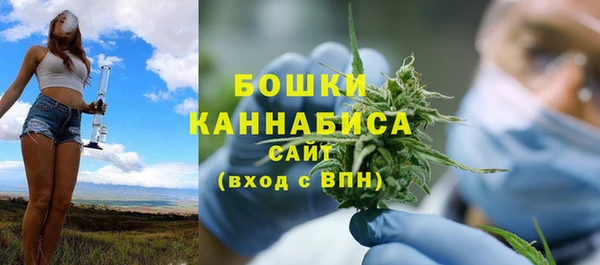 2c-b Инта