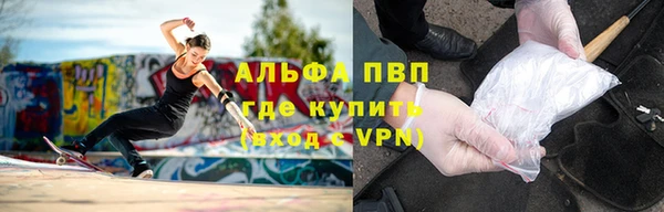 винт Абаза