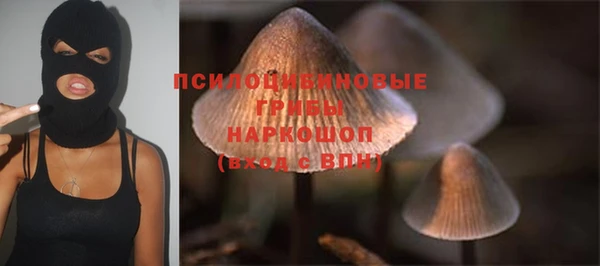 винт Абаза