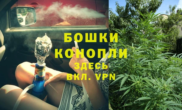 винт Абаза