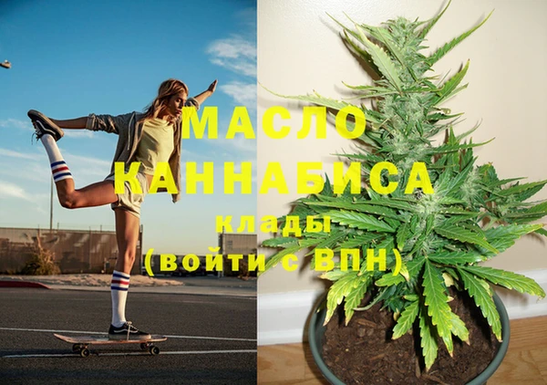 винт Абаза