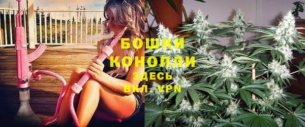ГАЛЛЮЦИНОГЕННЫЕ ГРИБЫ Абдулино