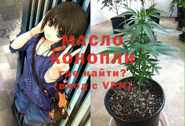 винт Абаза