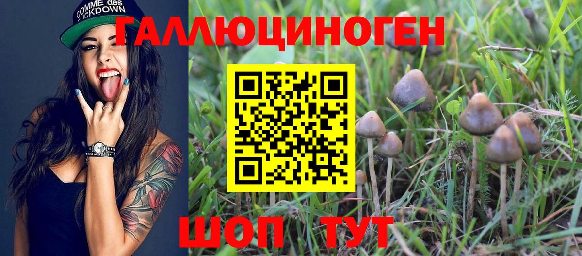 Стерлитамак  Псилоцибиновые грибы ЛСД  Псилоцибиновые грибы Magic Shrooms  где можно купить   Вход с VPN 
